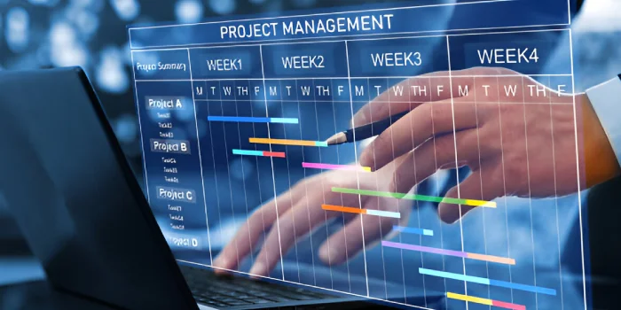 Examine-Your-Project-Management-Capabilities